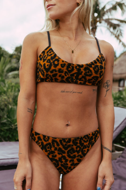 Goldentouch Bikini Bottom - Jaguar